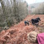 stage collectif entraînement décembre UCC Vivonne UCCV