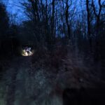 stage collectif entraînement décembre UCC Vivonne UCCV